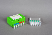accupower-hcv-quantitative-rt-pcr-kit