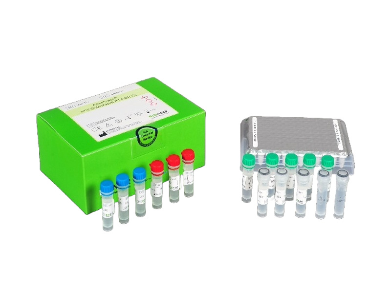 accupower-hcv-quantitative-rt-pcr-kit
