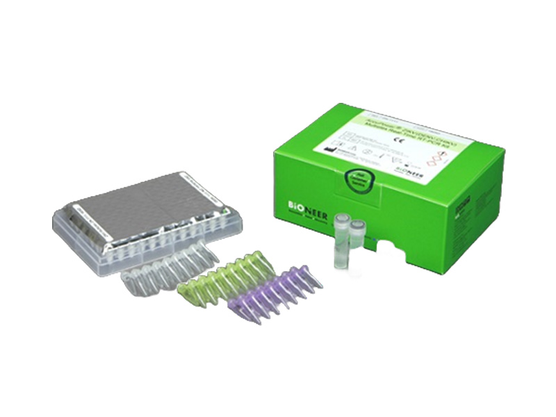 accupower-zikv-denv-chikv-multiplex-real-time-rt-pcr-kit